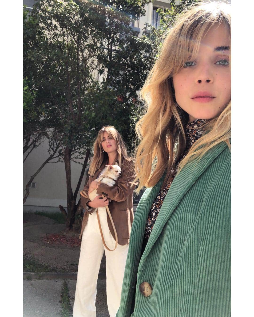アリス・アイザズのインスタグラム：「Say Hi to Claude 🐶  #welcometothefam」