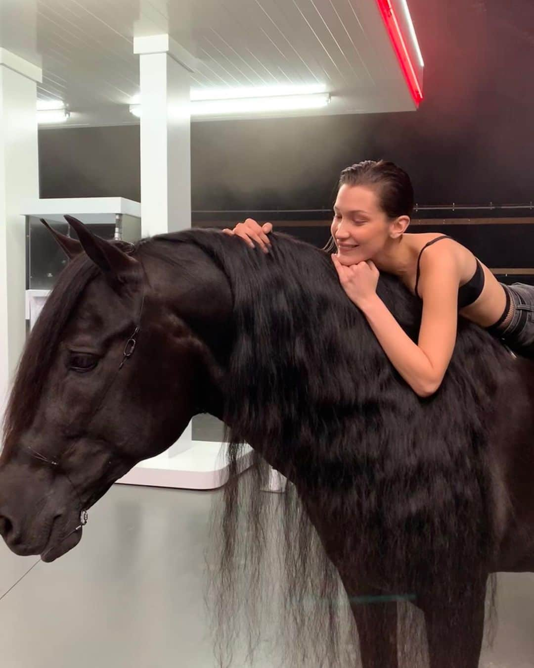 ベラ・ハディッドさんのインスタグラム写真 - (ベラ・ハディッドInstagram)「#MyTruth.. My first love, my pure joy... My horses 🖤 BTS @calvinklein 🖤 One of the happiest days of my career🖤 Thank you Calvin for this.」5月15日 3時50分 - bellahadid