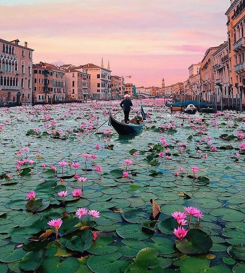 ミシェル・モナハンさんのインスタグラム写真 - (ミシェル・モナハンInstagram)「This is blooming beautiful!! Gondola, take me away! 🌸 #venicecanals #traveltuesday #bucketlist @nois7」5月15日 5時02分 - michellemonaghan