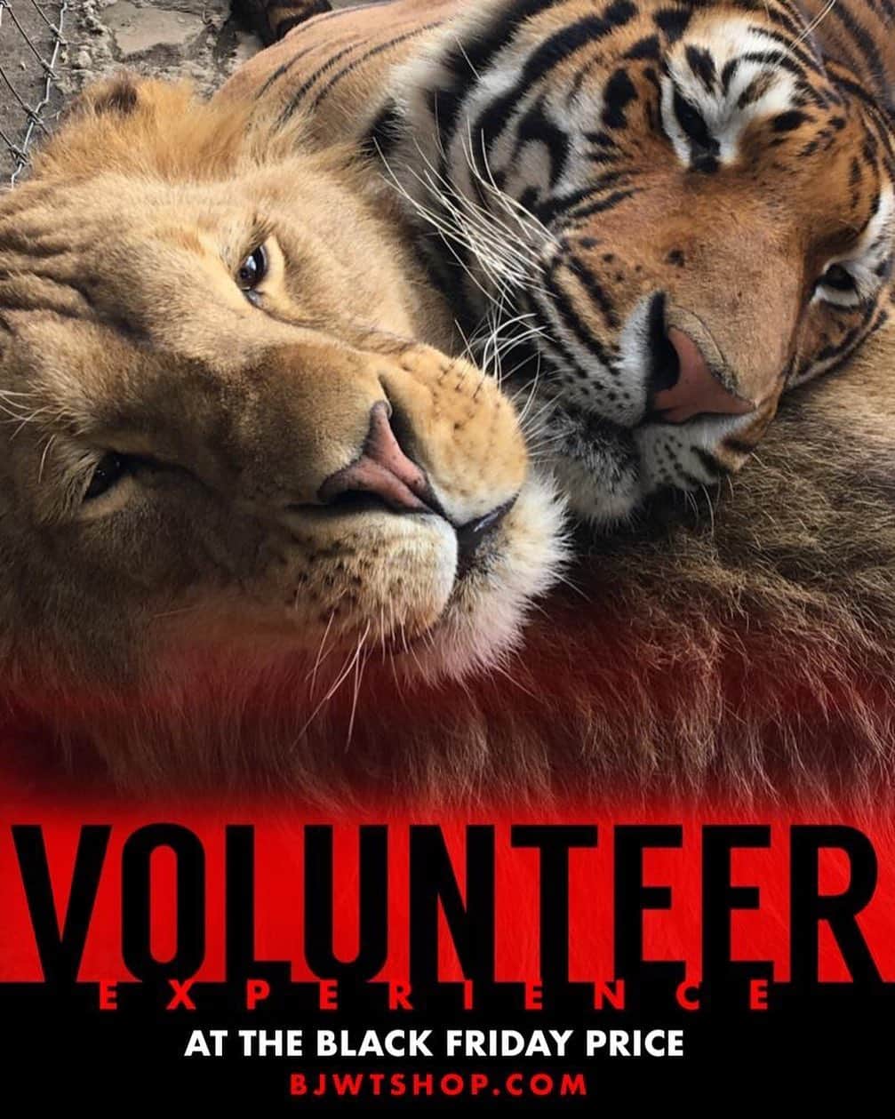 Black Jaguar-White Tiger さんのインスタグラム写真 - (Black Jaguar-White Tiger Instagram)「Your donation saves lives :) Su donativo salva vidas :)」5月15日 6時35分 - blackjaguarwhitetiger