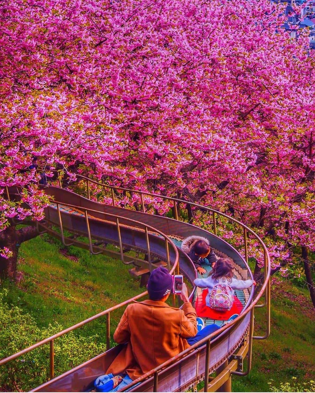 Wonderful Placesさんのインスタグラム写真 - (Wonderful PlacesInstagram)「Cherry Blossoms season in Japan. Which shot is your favorite? ✨🌸🌸🌸✨ . Pictures by ✨✨@t.hagi_1013✨✨ #wonderful_places for a feature 💖」5月15日 6時33分 - wonderful_places