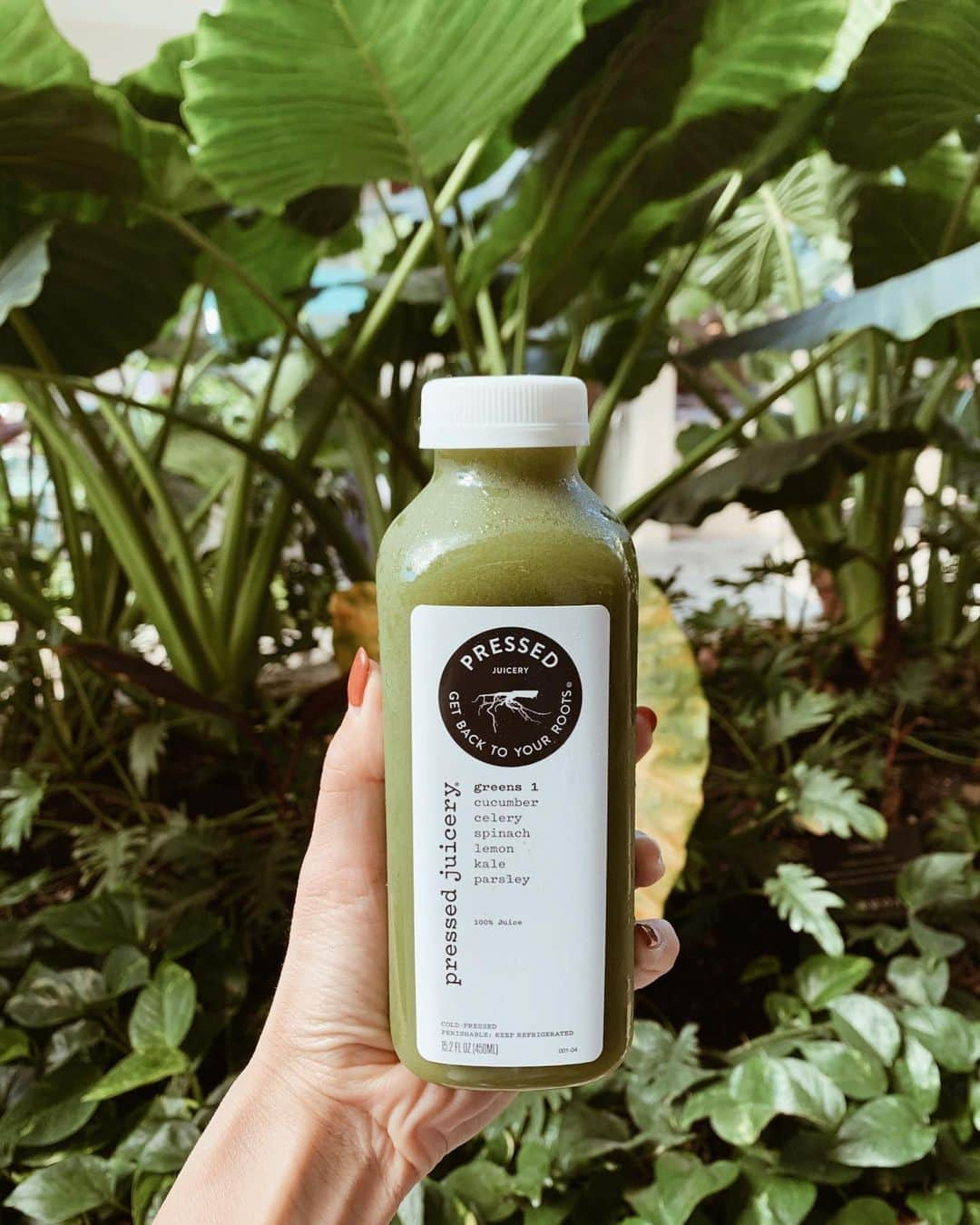 春名亜美さんのインスタグラム写真 - (春名亜美Instagram)「Good morning🌈 毎日の日課🥒🥬🥦🍋 ・ ・ ・ #pressedjuicery  #coldpressed #coldpressedjuice #コールドプレスジュース #ハワイ #Hawaii #hawaiilife #ハワイ生活 #ハワイライフ」5月15日 6時43分 - amiharunaami