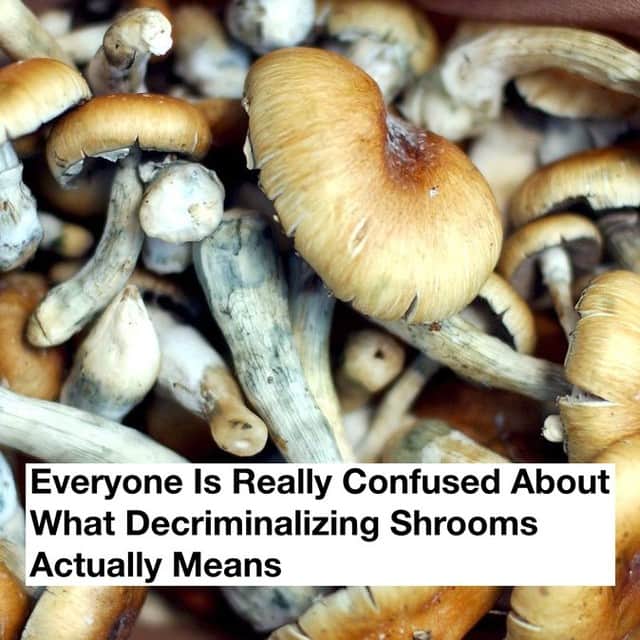 VICEさんのインスタグラム写真 - (VICEInstagram)「It's not totally clear how the recent Denver shroom decriminalization can actually change day-to-day life for those who want to use shrooms recreationally. 🍄 Link in bio to learn more about what the news actually means.」5月15日 8時01分 - vice