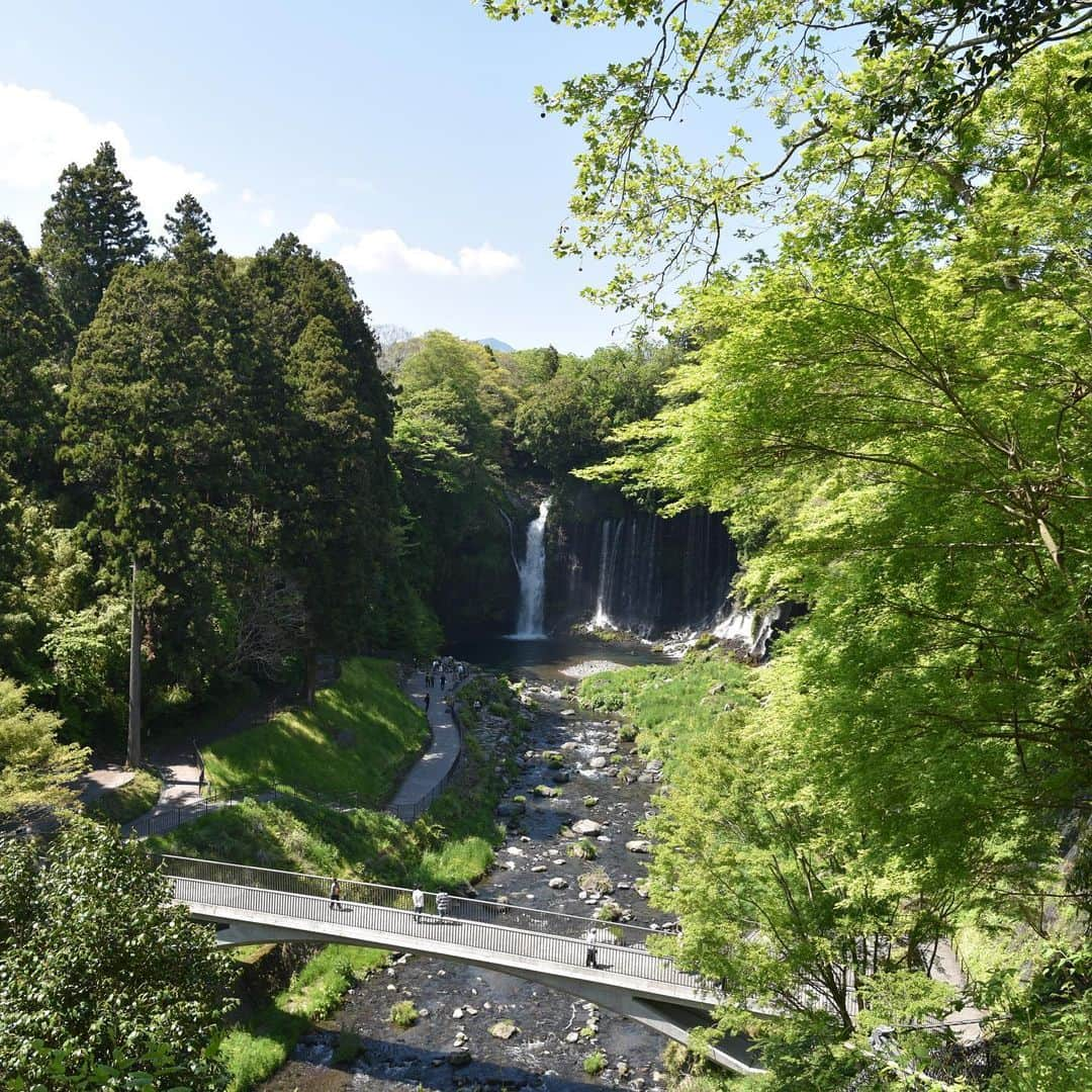 がんちゃんさんのインスタグラム写真 - (がんちゃんInstagram)「#てんタッキー富士山の旅  2019年5月8日  早朝から綺麗な富士山をたーくさん見れて大満足の飼い主。  富士山が見えなかった時のコースに入れていた白糸の滝へ。滝壺近くでは水しぶきが飛んできててんちゃんがヒコーキ耳に😆  #白糸の滝 #富士山 #朝霧高原 #滝とタッキー」5月15日 8時54分 - kota2ann