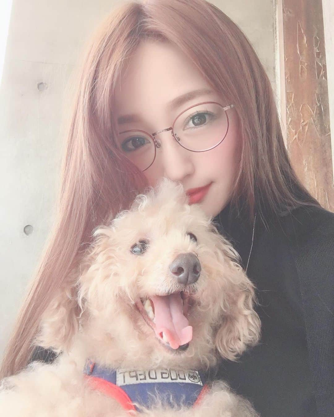 橋元優菜さんのインスタグラム写真 - (橋元優菜Instagram)「☆ 実家の犬(トイプードル)が入院&手術をしたので抜糸に合わせて帰省してきました🐕 ☆ ☆ 久々に帰ったけど、海外のスラムダンク人気のせいかどんどん観光地化してる🚃💨w ☆ ☆ この日は母の日と姉の命日でもあったので、色々と家族サービスもしてきたよ👷‍♀️ ☆ ☆ 実家は落ち着くね☕️ ☆ ☆ #散歩 #犬 #dog #ラブラドールレトリバー #トイプードル #yellowlabs #labradorretriever #japan #kamakura #鎌倉 #鎌倉高校前 #siteseeing #ペット #カフェ #bills #七里ヶ浜 #フリーマーケット #海 #電車 #江ノ電 #train #線路 #sea #イエローラブ #instagood」5月15日 8時48分 - oosakayuu