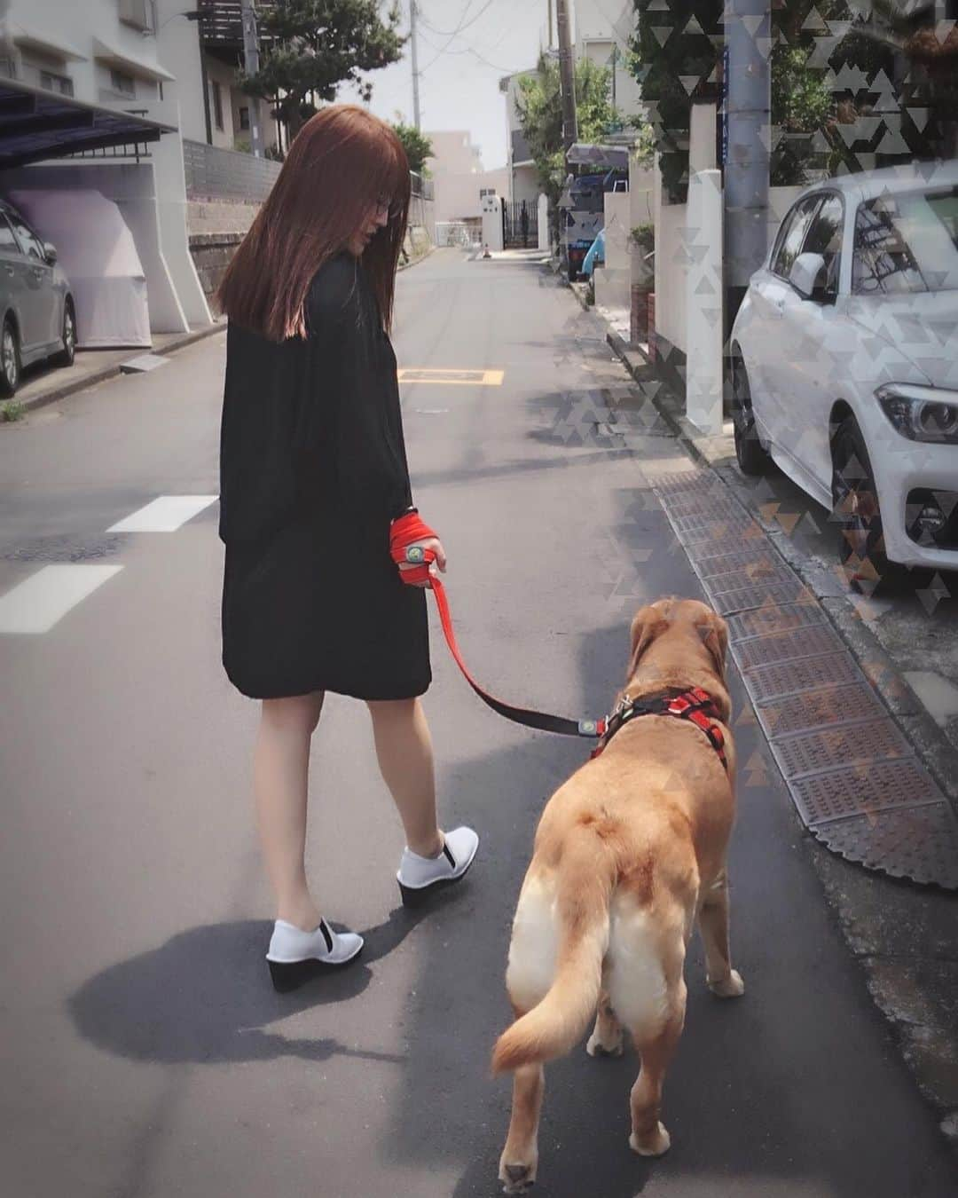 橋元優菜さんのインスタグラム写真 - (橋元優菜Instagram)「☆ 実家の犬(トイプードル)が入院&手術をしたので抜糸に合わせて帰省してきました🐕 ☆ ☆ 久々に帰ったけど、海外のスラムダンク人気のせいかどんどん観光地化してる🚃💨w ☆ ☆ この日は母の日と姉の命日でもあったので、色々と家族サービスもしてきたよ👷‍♀️ ☆ ☆ 実家は落ち着くね☕️ ☆ ☆ #散歩 #犬 #dog #ラブラドールレトリバー #トイプードル #yellowlabs #labradorretriever #japan #kamakura #鎌倉 #鎌倉高校前 #siteseeing #ペット #カフェ #bills #七里ヶ浜 #フリーマーケット #海 #電車 #江ノ電 #train #線路 #sea #イエローラブ #instagood」5月15日 8時48分 - oosakayuu