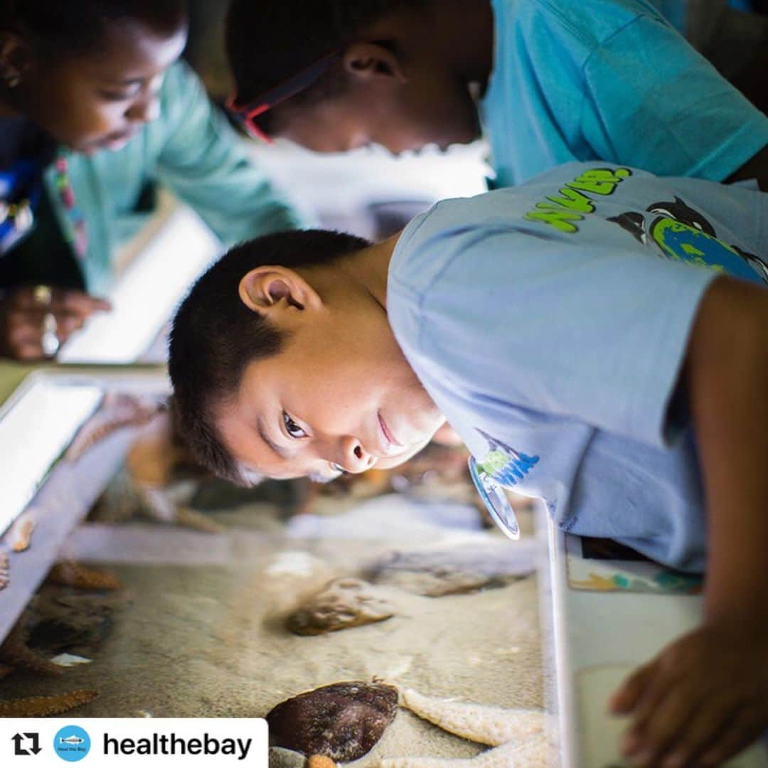 シャロン・ローレンスさんのインスタグラム写真 - (シャロン・ローレンスInstagram)「This is hower #leanings at @healthebay🌊 Did you know that our Heal the Bay Aquarium hosts classroom field trips📚🙋‍♂️🙋‍♀️, birthday parties🥳🎁, and even summer science camp🔬🧬? There are so many ways kids can learn, experience, and celebrate our waterways with us! We love inspiring young wavemakers at the @smpieraquarium 📷 @lapicnic. You can support the education programs at our #BackToTheBeach Party Tickets here! https://one.bidpal.net/bbb19/ticketing Even if you can't make it to our Bring Back the Beach Annual Awards Gala, you can still support us through the online silent auction! Bid on a variety of beach-inspired items, unique experiences, and beautiful getaways. See our auction items and start bidding here! https://one.bidpal.net/bbb19/browse/all  This is our largest fundraiser, we rely on the support from our community on this one night to sustain us year-round. Proceeds from our auction directly fund Heal the Bay's science, policy, and advocacy work. Bid often, bid generously, and help us continue to keep the waters of Los Angeles healthy, safe and clean. 💙💙💙」5月15日 9時31分 - sharonelawrence