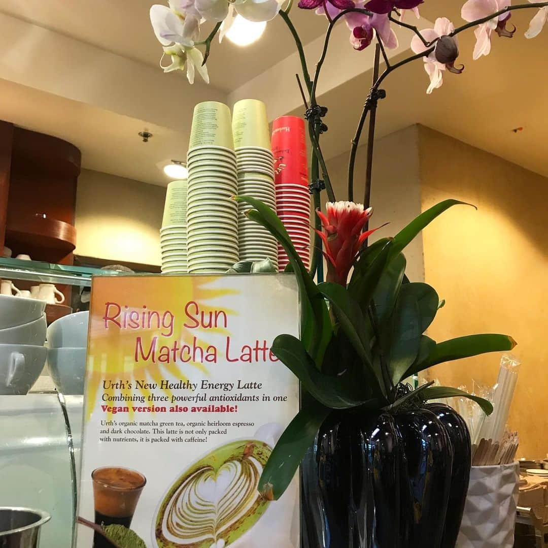 RIEHATAさんのインスタグラム写真 - (RIEHATAInstagram)「"Rising Sun Matcha Latte"☕️🍀 do we have this in Japan?🤔 Matcha latte➕chocolate➕espresso 🤤mmm it's soooooo good.👌 #UrthCafe #LA #nomakeupdontcare🙄😍」5月15日 9時43分 - riehata