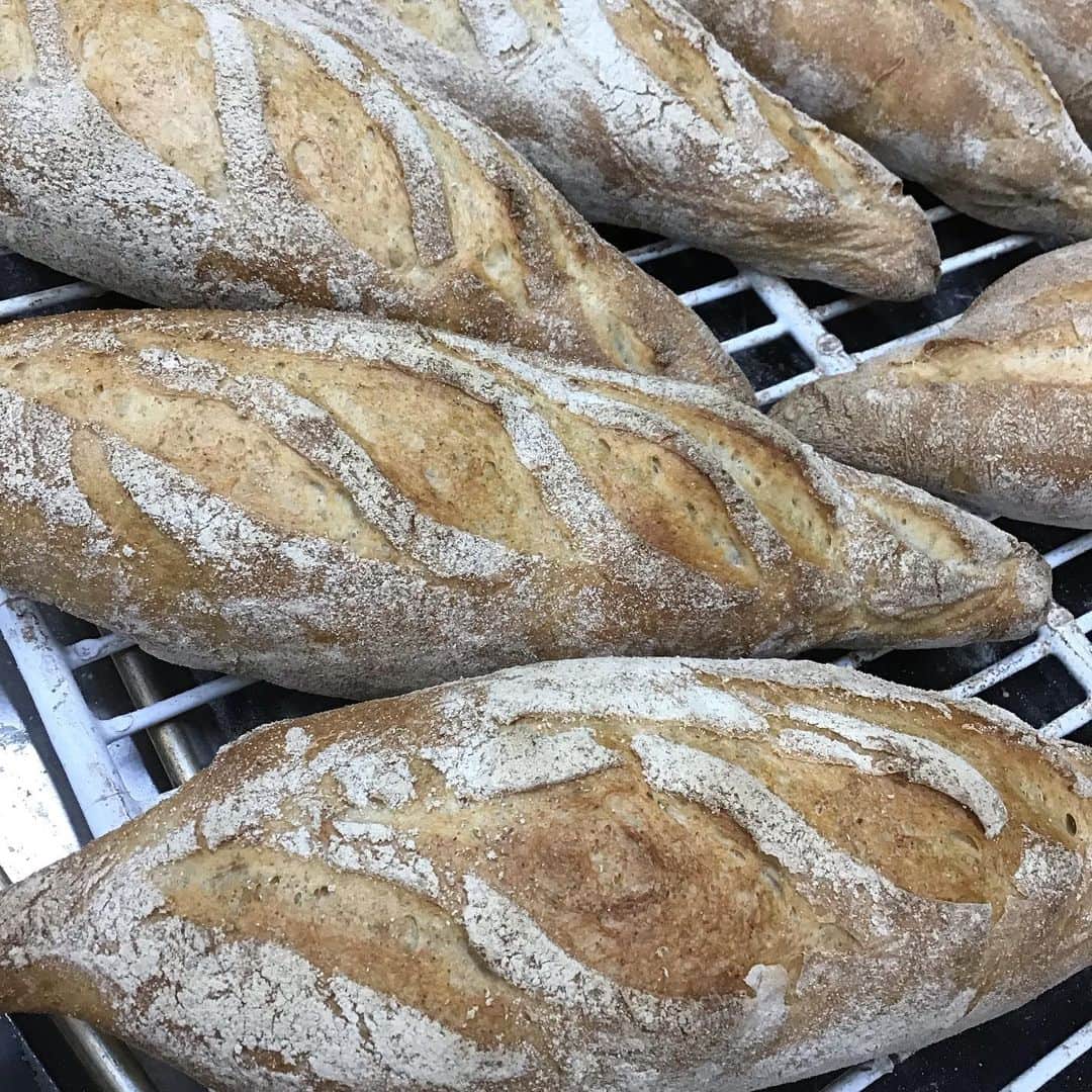 魔女菅原のグルメインスタ