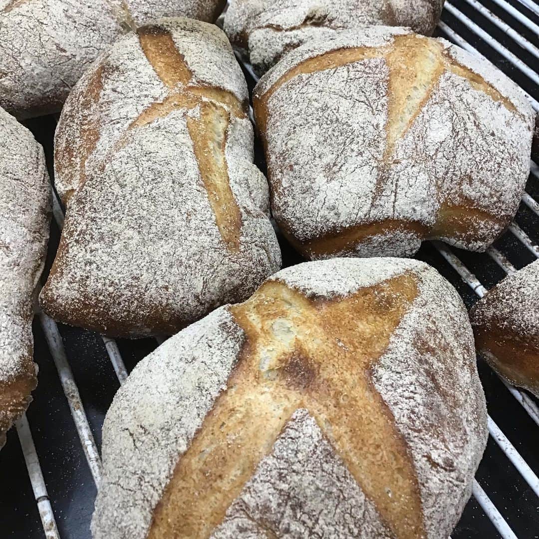 魔女菅原のグルメインスタ