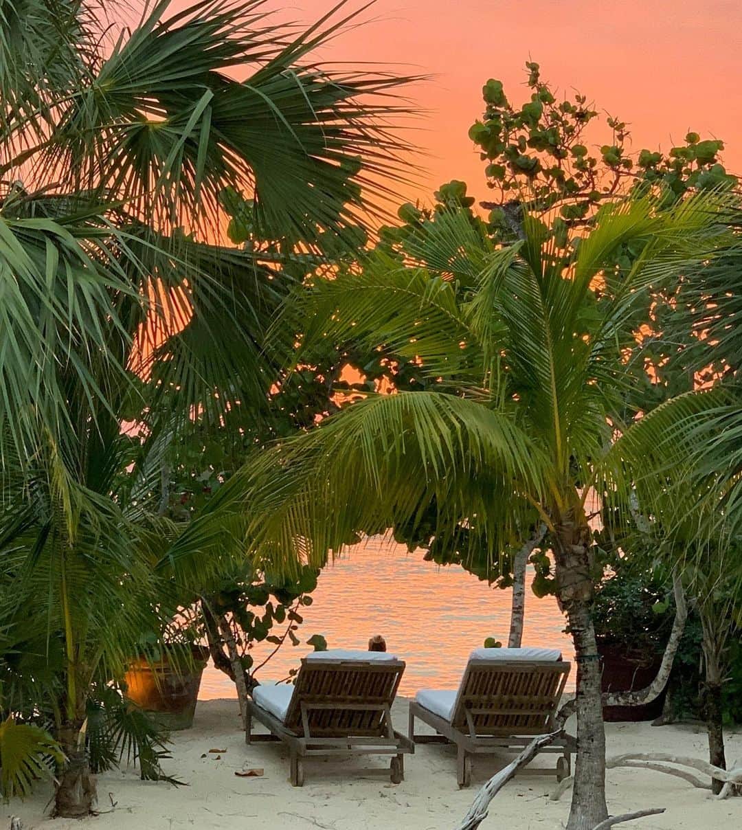 クリスティ・ブリンクリーさんのインスタグラム写真 - (クリスティ・ブリンクリーInstagram)「Swipe for Surreal Sunset Selfies and landscapes and a reminder that @fosseverdonfx is about to air and it’s about @chicagomusical  #luckyhousepc 🧡💜💙💛💕」5月15日 10時55分 - christiebrinkley