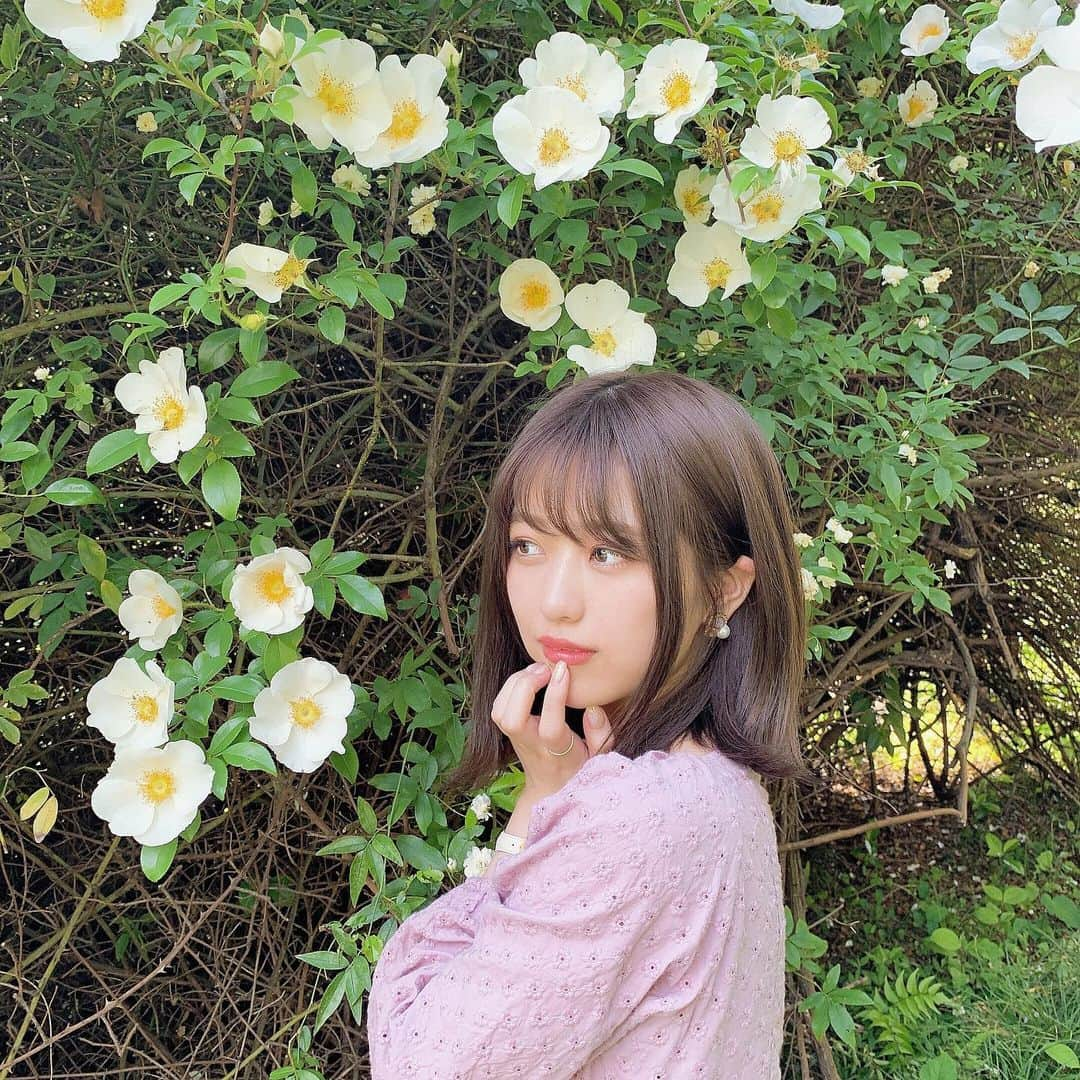 篠崎彩奈さんのインスタグラム写真 - (篠崎彩奈Instagram)「_ この時期の天気が一番好き💐 暑すぎず寒くもなく お散歩したくなっちゃうね☺️」5月15日 21時59分 - ayana.s_official