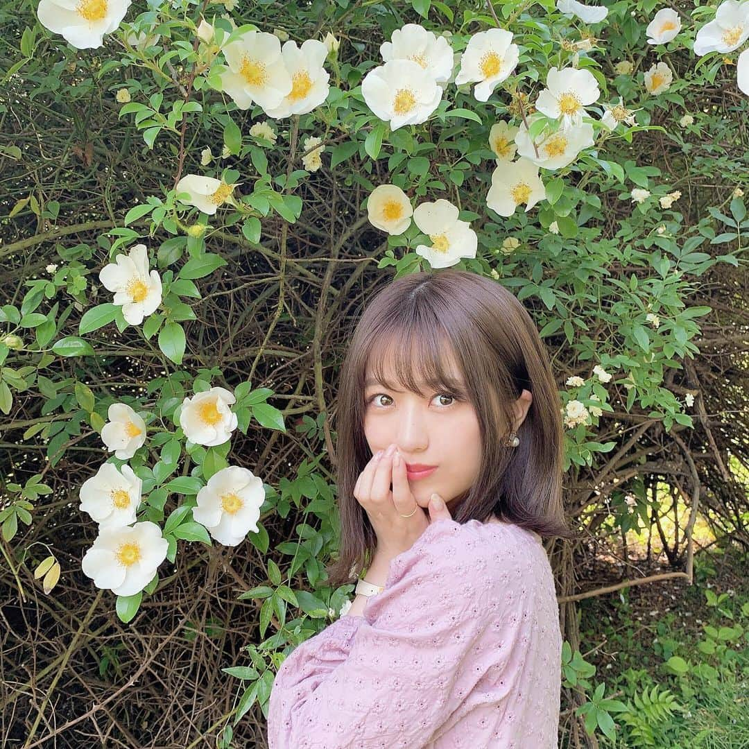 篠崎彩奈さんのインスタグラム写真 - (篠崎彩奈Instagram)「_ この時期の天気が一番好き💐 暑すぎず寒くもなく お散歩したくなっちゃうね☺️」5月15日 21時59分 - ayana.s_official