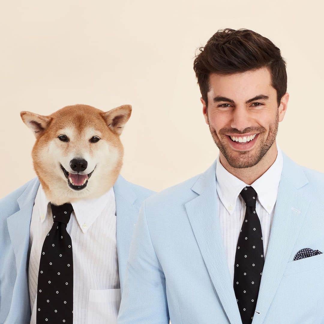 ブルックスブラザーズさんのインスタグラム写真 - (ブルックスブラザーズInstagram)「What kind of suit does @mensweardog wear to a summer wedding?  A: Houndstooth.  Tap for details on this suited summery look, fit for a best man or man’s best friend.  #SS19 #GroomsmenStyle #SeersuckerSuit #BarksBrothers @dougiejoseph #BestManDuties」5月15日 20時36分 - brooksbrothers