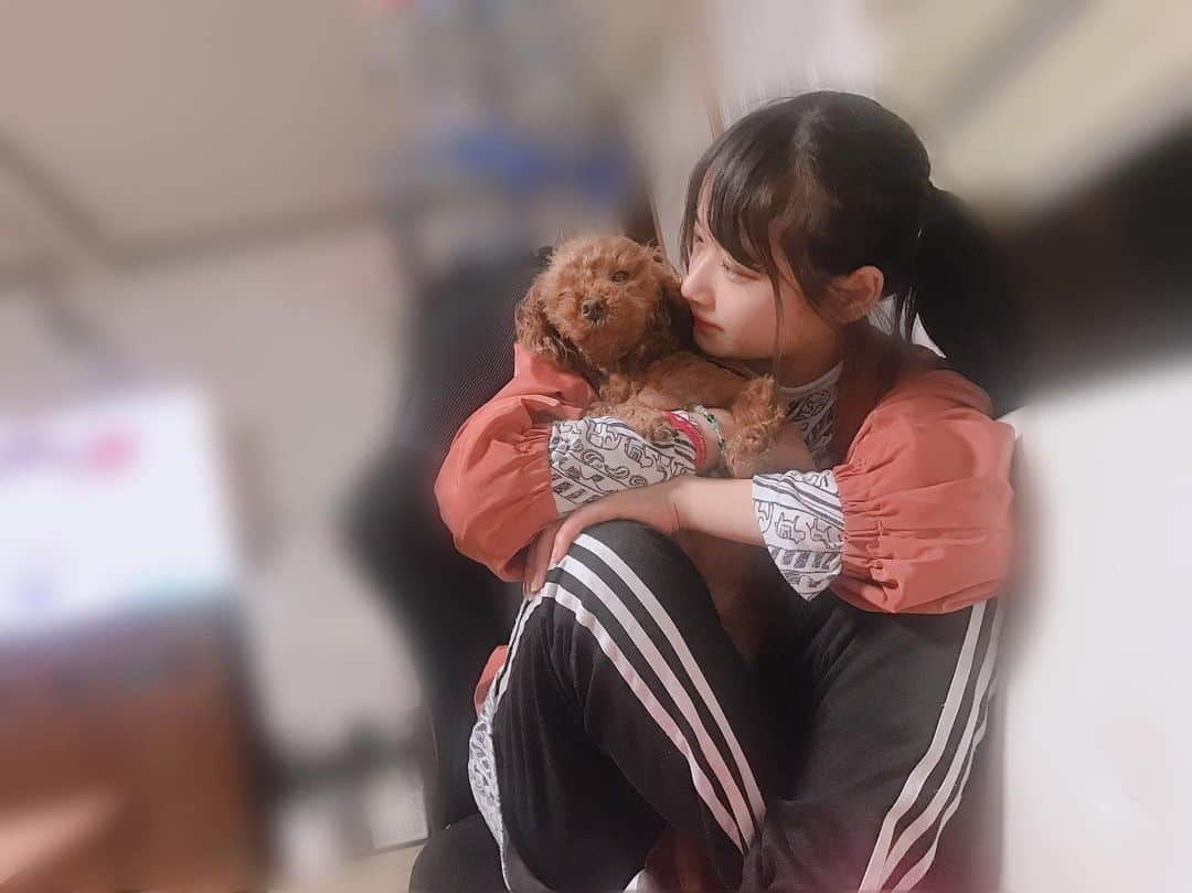 諸橋姫向さんのインスタグラム写真 - (諸橋姫向Instagram)「おばあちゃんちで飼ってる犬ちゃん🐶 レッスン後で帽子かぶってたから髪の毛ぐちゃぐちゃ🥺  #NGT48 #犬#だいすき #諸橋姫向 #やひこ #followme」5月15日 20時52分 - hinata_48_yahi5