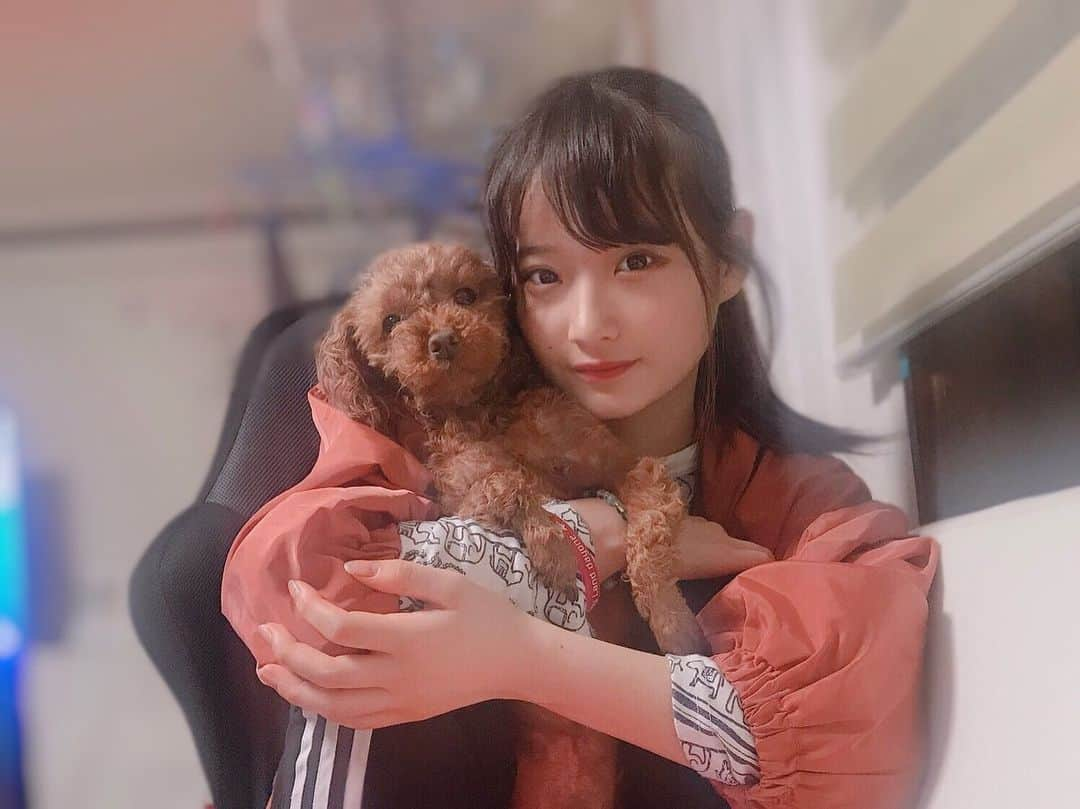 諸橋姫向さんのインスタグラム写真 - (諸橋姫向Instagram)「おばあちゃんちで飼ってる犬ちゃん🐶 レッスン後で帽子かぶってたから髪の毛ぐちゃぐちゃ🥺  #NGT48 #犬#だいすき #諸橋姫向 #やひこ #followme」5月15日 20時52分 - hinata_48_yahi5