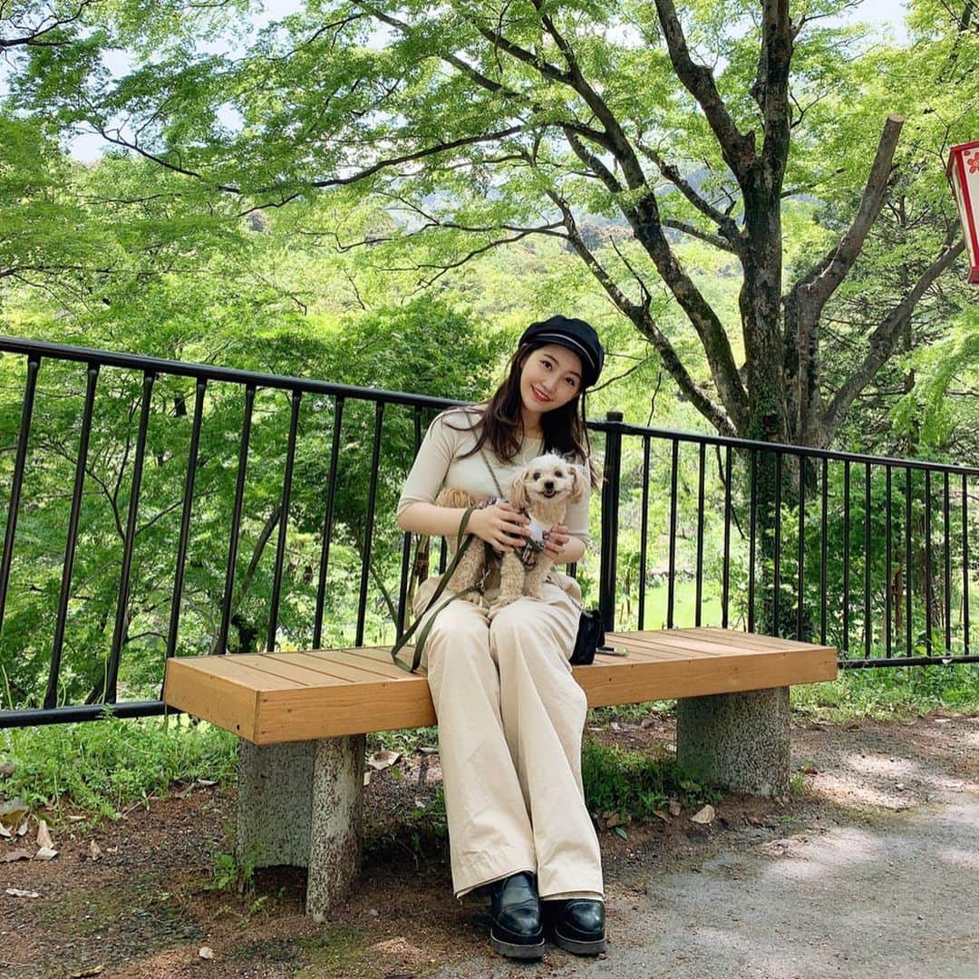 中西悠綺さんのインスタグラム写真 - (中西悠綺Instagram)「キング9歳のお誕生日おめでとう🎂ずっとずっと大好きやよ🥰  #愛犬 #チワプー #3つめの動画はキングに塩対応される私(笑)」5月15日 21時29分 - nakanishi_yuuki