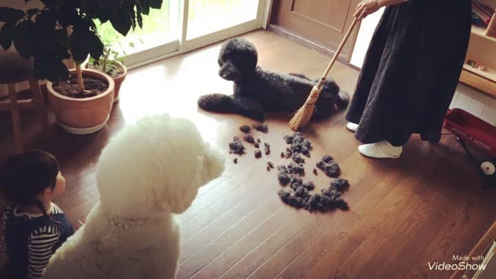たまねぎのインスタグラム