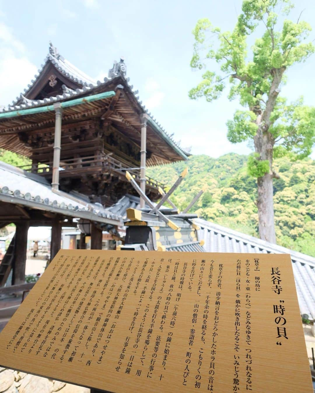 奈良 長谷寺 / nara hasederaさんのインスタグラム写真 - (奈良 長谷寺 / nara hasederaInstagram)「#薄暑 の候 日陰に入れば風、心地よく  It's getting a little hot, but if you get in the shade you can feel the wind comfortable.  #長谷寺 #奈良長谷寺 #総本山長谷寺 #花の御寺 #奈良 #hasedera #hasederatemple #temple #japan #japanesetraditional #pilgrimage #nara #tourism #sightseeing #japanesetemple #西国 #西国三十三所 #霊場 #巡礼 #四寺巡礼 #やまとびとツアーズ #長谷寺が好き」5月15日 13時55分 - hase_dera