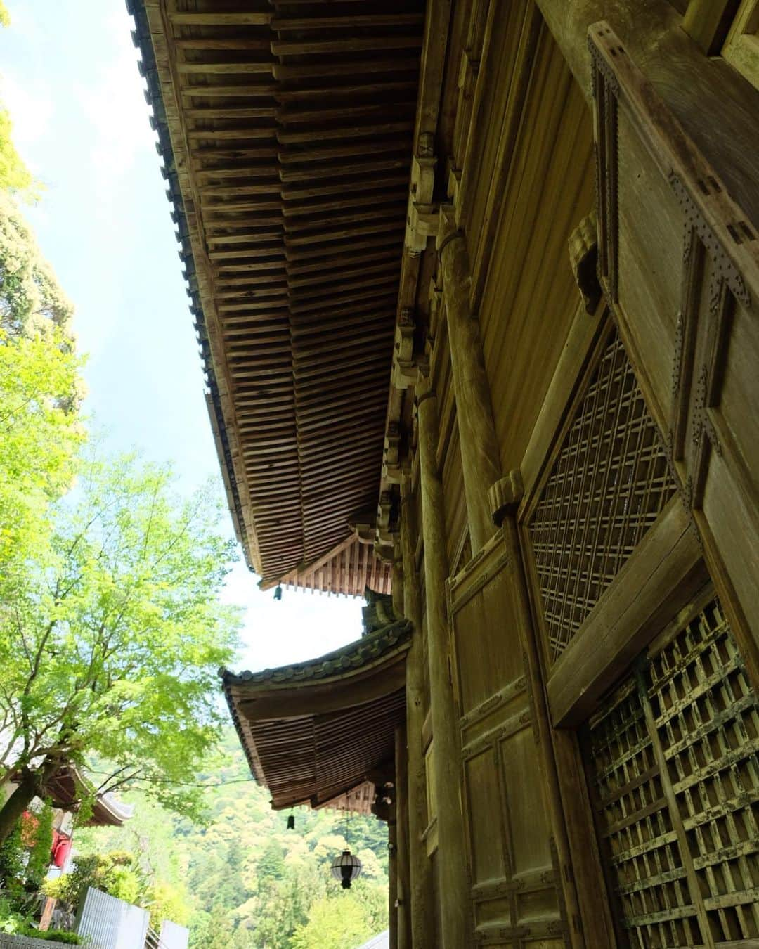 奈良 長谷寺 / nara hasederaさんのインスタグラム写真 - (奈良 長谷寺 / nara hasederaInstagram)「#薄暑 の候 日陰に入れば風、心地よく  It's getting a little hot, but if you get in the shade you can feel the wind comfortable.  #長谷寺 #奈良長谷寺 #総本山長谷寺 #花の御寺 #奈良 #hasedera #hasederatemple #temple #japan #japanesetraditional #pilgrimage #nara #tourism #sightseeing #japanesetemple #西国 #西国三十三所 #霊場 #巡礼 #四寺巡礼 #やまとびとツアーズ #長谷寺が好き」5月15日 13時55分 - hase_dera