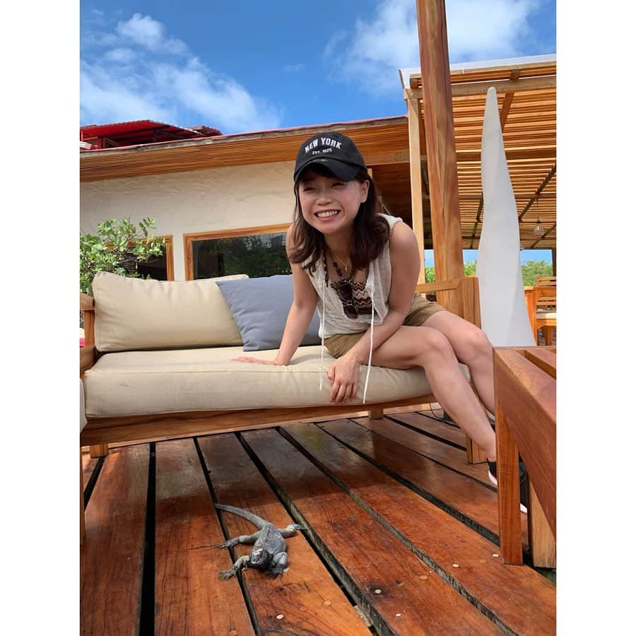 京乃ともみさんのインスタグラム写真 - (京乃ともみInstagram)「The Galápagos Islands are all about coexistence of human being and wild animals.🐧💚. ご飯食べてたら普通にオットセイやイグアナがよってくるよー🐢🦜🌍💕. . .#GalápagosIslands #GalapagosIslands #wildlife #naturelover」5月15日 14時08分 - tomomi_kyono