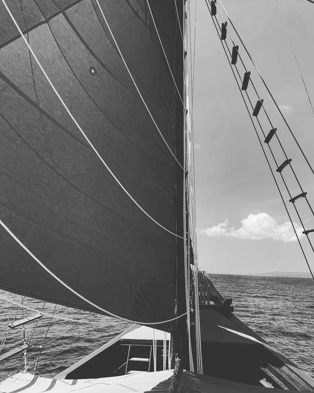 スウィズ・ビーツさんのインスタグラム写真 - (スウィズ・ビーツInstagram)「Keep sailing ⛵️⛵️⛵️⛵️⛵️⛵️」5月15日 14時41分 - therealswizzz