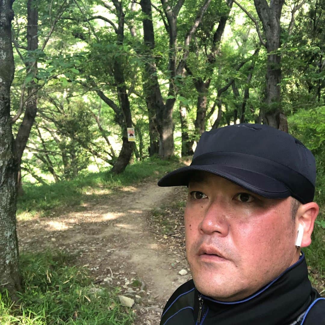 たむらけんじさんのインスタグラム写真 - (たむらけんじInstagram)「今日も森へ。 もう、森へ行かないと落ち着かない身体になってしまいました。 ハンターの皆さん僕を見ても撃たないでくださいね。  #たむけん #ウォーキング」5月15日 15時11分 - tamuradojou
