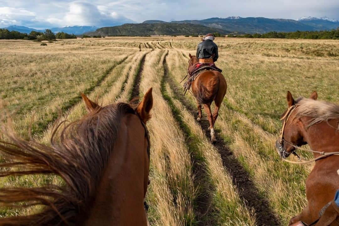 National Geographic Travelさんのインスタグラム写真 - (National Geographic TravelInstagram)「Photo by @KristaRossow | With a chilly wind whipping across the pampa, an Argentinian gaucho leads a horseback ride to Río Grey inside of Torres del Paine National Park. To see more photos from my travels, follow me @KristaRossow. #Patagonia #Chile #horses」5月15日 15時29分 - natgeotravel
