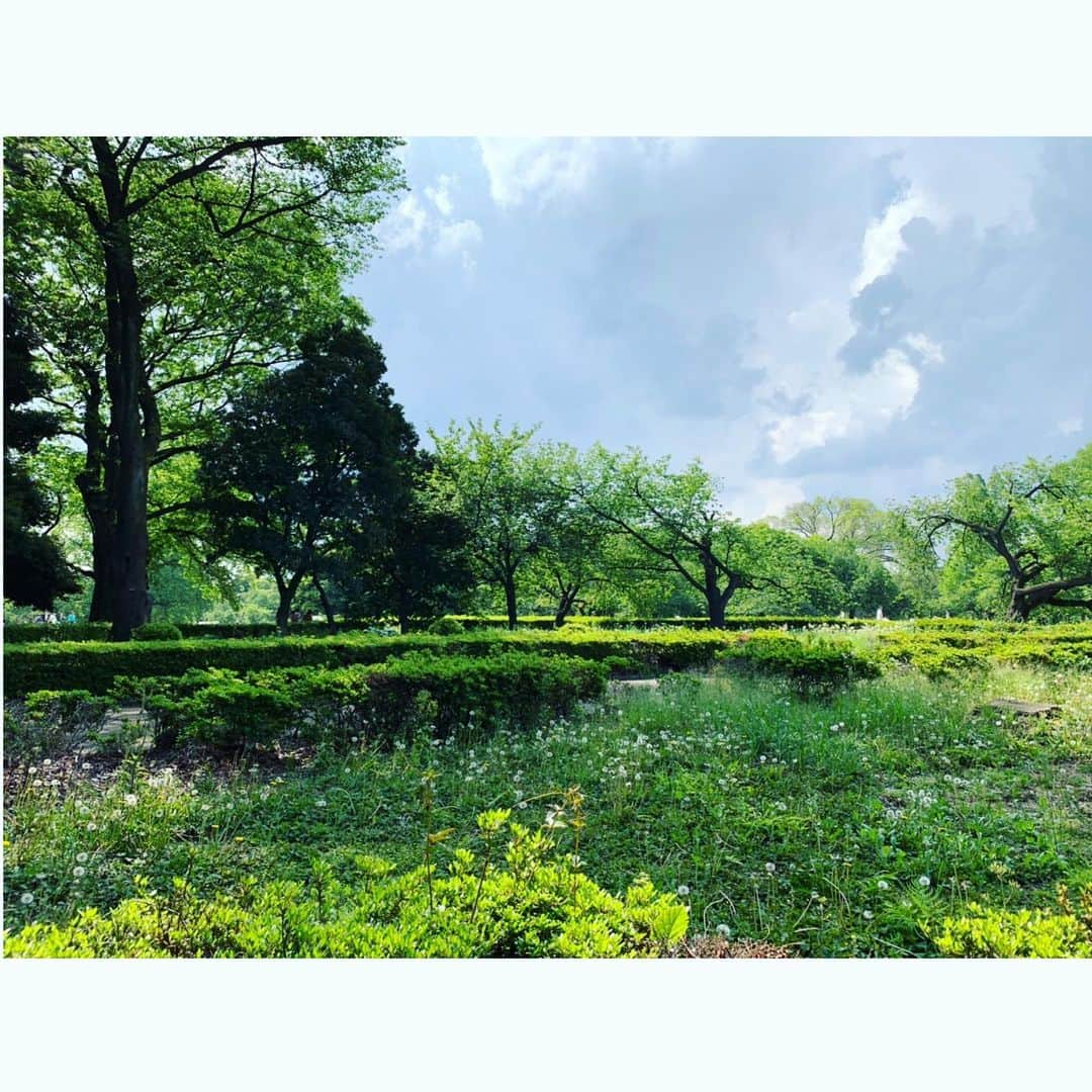 中野公美子さんのインスタグラム写真 - (中野公美子Instagram)「GWの思い出😊🌳🌷🌹 新宿御苑でお弁当を持ってピクニック！ 芝生に寝転がったり、 木々の香りを感じたり、 自然に囲まれて気持ち良かった❣️ また行きたい💖  #新宿御苑 #ピクニック #自然を感じる #木々の香り#最高 #癒し #アラフォー #ゴールデンウィーク」5月15日 15時57分 - kumikorion