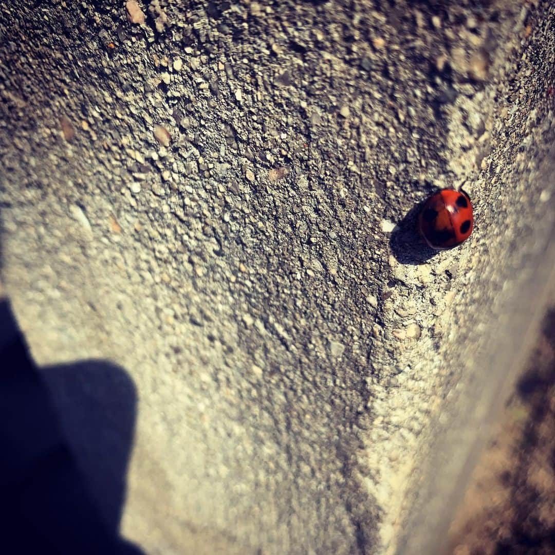 水田真依子さんのインスタグラム写真 - (水田真依子Instagram)5月15日 16時38分 - maikosebasu