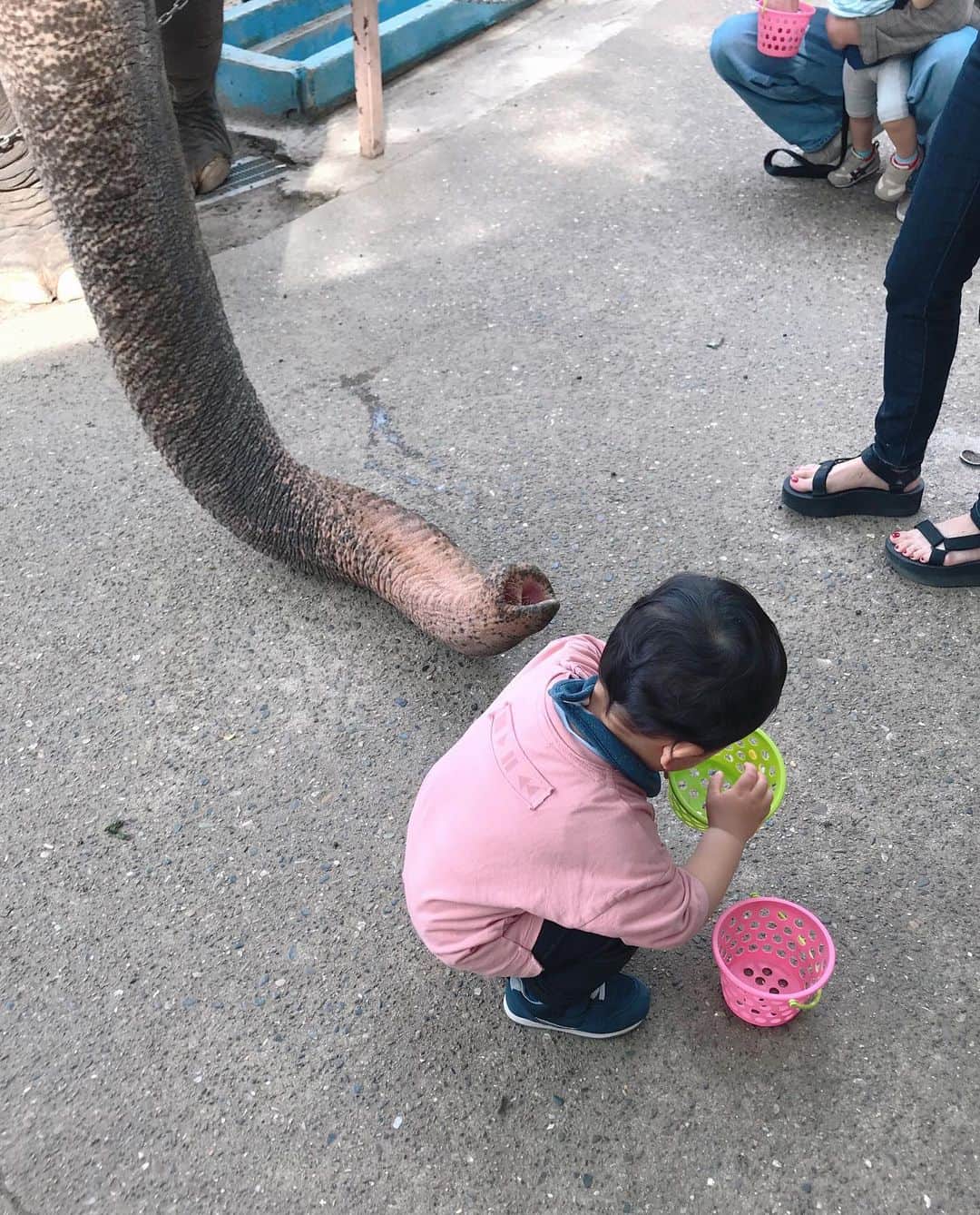 大西暁子のグルメインスタ