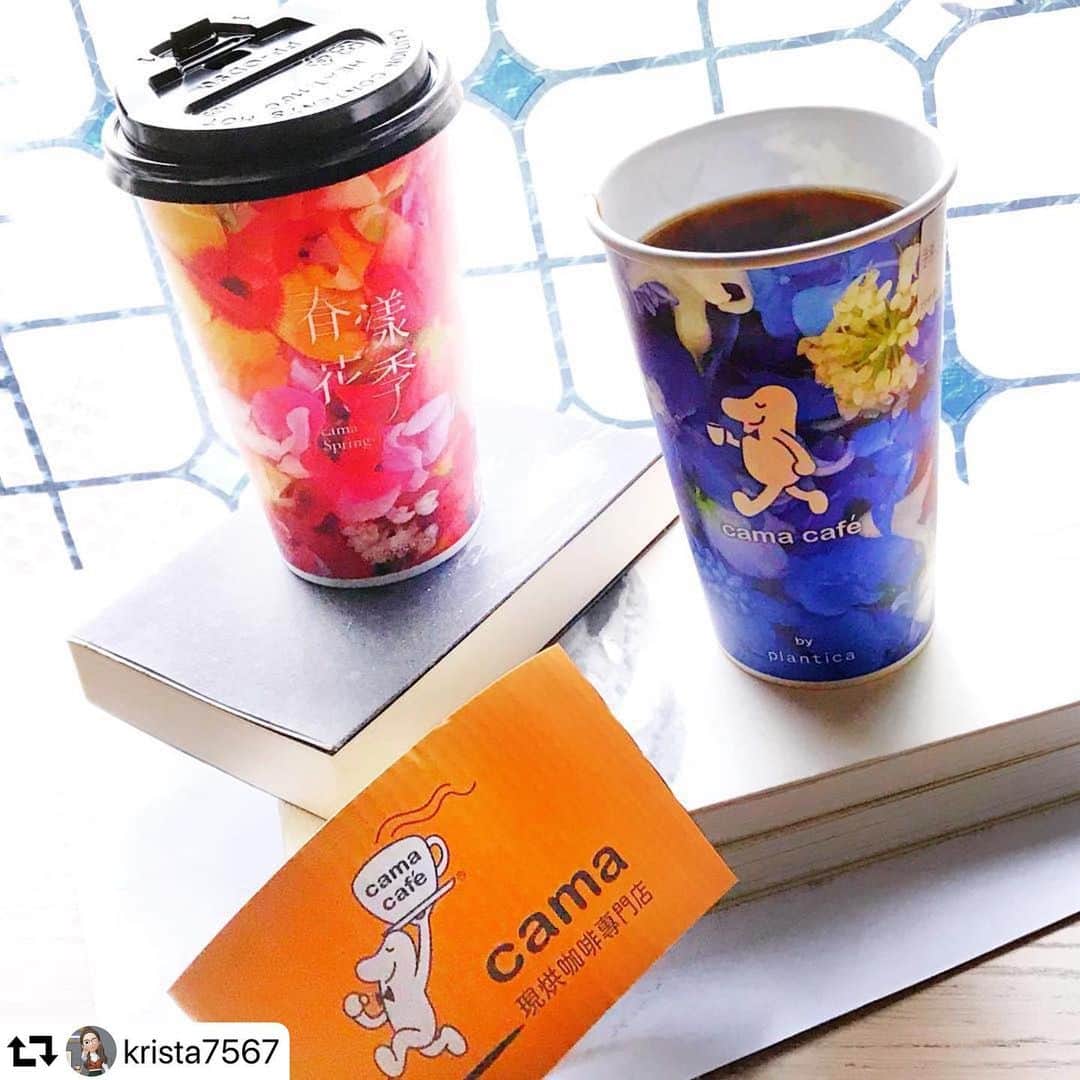 planticaのインスタグラム