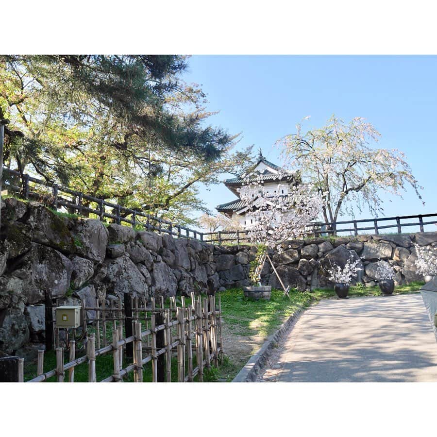 西村季里子さんのインスタグラム写真 - (西村季里子Instagram)「・ GWの思い出12🌷 ・ 青森県出身ながら弘前の桜は初🌸 (青森県広すぎてねぶたも1回しか行ったことない👹) 弘前城に行ったんだけど、 すっごーーく広くてびっくり❗️ 屋台も多いし、観光場所が多くて楽しかった🥰 桜はもうほぼ散ってたけど🌸💦 あと、和装で行くと入園料が無料になるらしくて、 知らずに行ったから儲けた気分✌🏻 次は桜満開の時期に行きたいな〜🌈 #GW#goldenweek #ゴールデンウィーク #お花見#桜#sakura #cherryblossom  #青森県#青森#あおもり#青森県出身 #弘前#弘前城#🏯#ひろさき#弘前さくらまつり #和装#着物#お着物#着物でおでかけ #kimono #屋台#たくさん#嶽きみ天ぷら #大好物 #follow#followme」5月15日 16時51分 - kiriko_nishimura