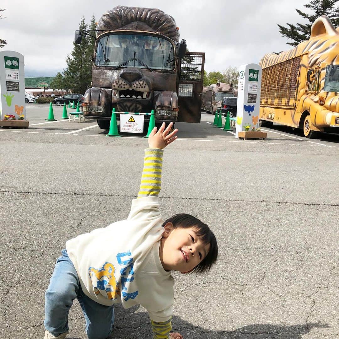 神戸蘭子さんのインスタグラム写真 - (神戸蘭子Instagram)「動物ブームの息子と🦓  #富士サファリパーク #ライオン #ふれあい体験  #家族でお出かけ #ママライフ」5月15日 17時49分 - ranran0414