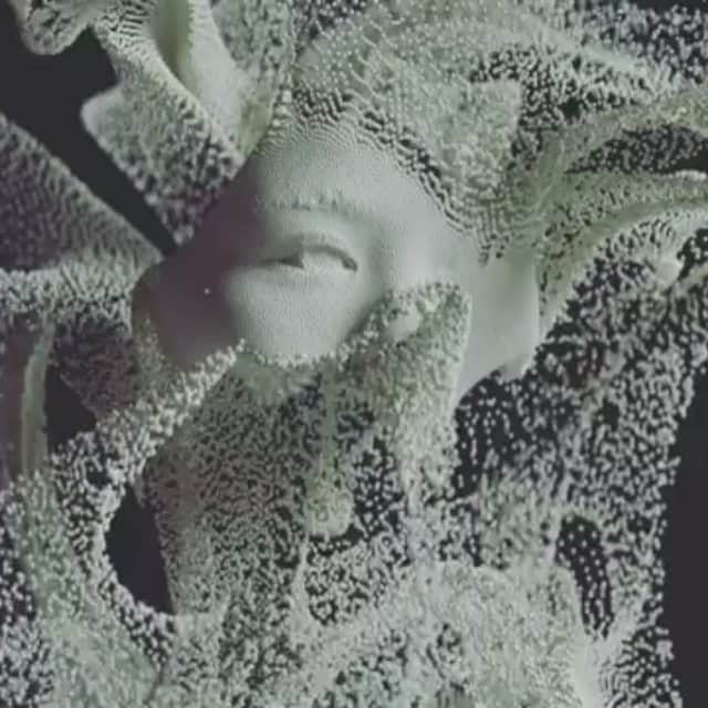 Nature|Folk|Portrait|Videoのインスタグラム：「━━━━━━━━━━━━━━━━━━━ Video by @jonnoorlander  Congratulations!  Selection by @gulperi_karademir ━━━━━━━━━━━━━━━━━━━ Team #ig_mood @unsalsicilli @humanistanbul @celilbezeng @emili35 @gizemparlak_ @gulumsedunya @semihcevval @gulperi_karademir @hakancgrn ━━━━━━━━━━━━━━━━━━━ Community @moodcommunity General Tag #moodcommunity ━━━━━━━━━━━━━━━━━━━ #ig_pics_jonnoorlander」