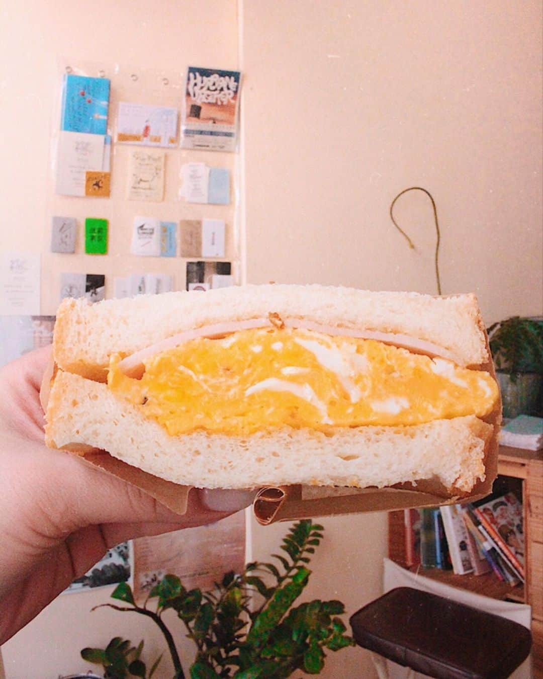 pisatamagoのインスタグラム