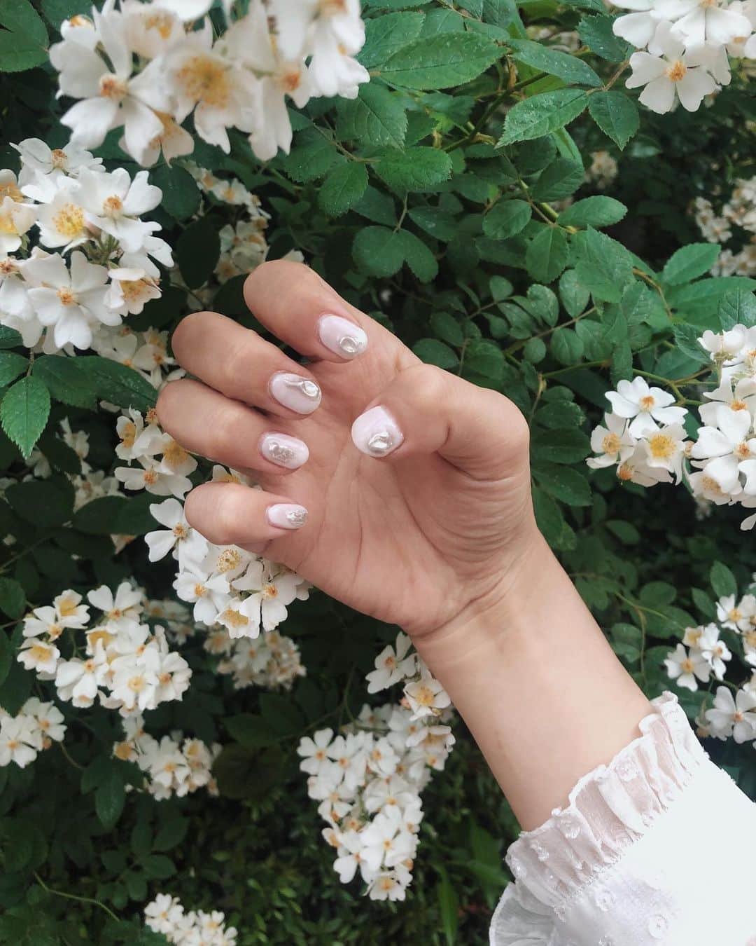 目見田早弥子のインスタグラム：「| nail 今の右手。pinkを少し入れたwhite。 セルフジェルですが、まあまあかなぁ.. 前回似たデザインをした時よりは良くなったけど まだまだ満足いかない出来。 ちなみに左手はニュアンスネイルで フレンチ風にしています。」