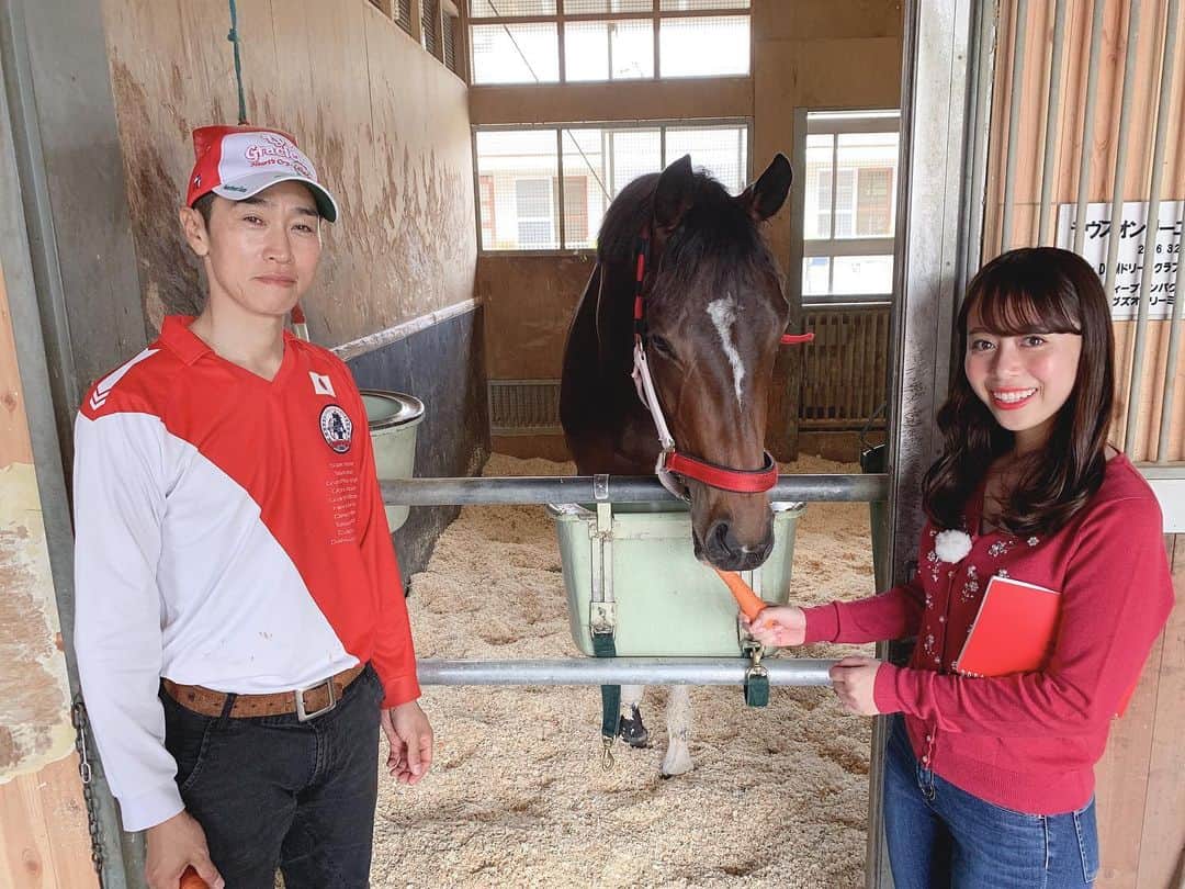 國嶋絢香のインスタグラム：「デビューから3連勝中🏇✨ ラヴズオンリーユーの底知れぬ強さの秘密を探ってきました💞 にんじん🥕ぽりぽり食べてくれたよ🤤 落ち着きのあるとても穏やかな子でした👏🏽 . 2枚目 左側にぶら下がってる赤いもの りんご🍎に見立てたオモチャだそうで、いっつもこれで遊んでるんやって😯 こういうのが馬房にあるのは初めて見ました！！ まだまだ知らないことが沢山✌🏽 . 今週のトレまる🏇もお楽しみにです💖 . #全く噛み癖が無いラヴズちゃん #手渡しで🥕をあげても全然大丈夫👌🏽 #器用に少しずつポリポリしてる姿が可愛い #2つ隣の馬房の前髪ぱっつん君にも癒された #名前はプリンシパル #担当の方がぱっつんにするのが好きなんだそう #今週も取材させて頂いた方々ありがとうございました✨」