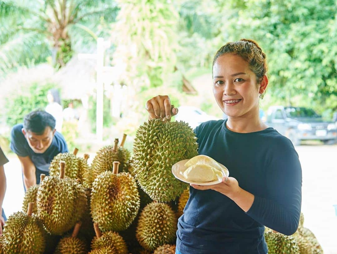 タイ国政府観光庁さんのインスタグラム写真 - (タイ国政府観光庁Instagram)「南国フルーツが旬を迎えています✨﻿ ﻿ タイでは、太陽の恵みを受けた様々な種類の南国フルーツを味わうことができます。特に４月頃からマンゴーやドリアン、続いてマンゴスチンやランブータンなど、人気のフルーツが旬を迎えます🍋﻿ ﻿ この時期に果物狩りができる農園もあり、フルーツ栽培が盛んなラヨーン県のオーガニック農園「スアン・ラマイ」では、４月〜６月限定で、フルーツ食べ放題の農園ツアーを開催していて大人気😊﻿ ﻿ #タイ #ラヨーン #スアンラマイ #フルーツ #南国フルーツ #トロピカルフルーツ #マンゴー #ドリアン #マンゴスチン #果物 #こんなタイ知らなかった #タイを知りつくす #タイ旅行 #旅好きな人と繋がりたい #旅行好きな人と繋がりたい #thailand #rayong #suanlamai #fruit #amazingthailand #thailandtravel #thailandtrip #thai #thaistagram #lovethailand #localexperience #mango #durian」5月15日 18時51分 - amazingthailandjp