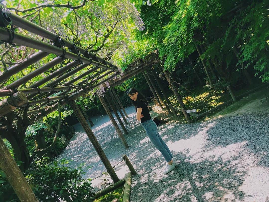 ジュディ舞衣のインスタグラム：「💚 ． ． ． #京都 #京都観光 #京都旅行 #龍安寺 #週末旅行 #kyoto #kyototravel #kyotojapan #ryoanji #temple #travelgram #japantravel」