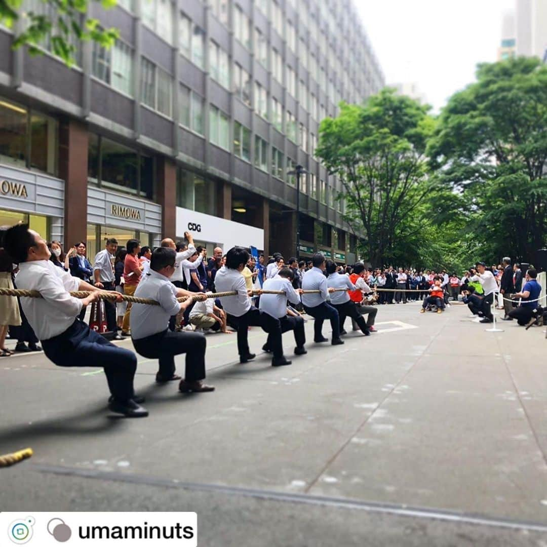 MEET at Marunouchiさんのインスタグラム写真 - (MEET at MarunouchiInstagram)「#repost @umaminuts . #umaminuts#仲通り綱引き大会  丸の内では今日から5日間、綱引き大会。 会社員の皆さんがチーム一丸となって頑張っています。 店内にも声援が響いています。  @marunouchi_com #丸の内ドットコム #ウマミナッツ#豆菓子 #丸ノ内#ギフト#手土産 #tokyosouvenir#JapaneseSweets#nuts」5月15日 19時03分 - marunouchi_com