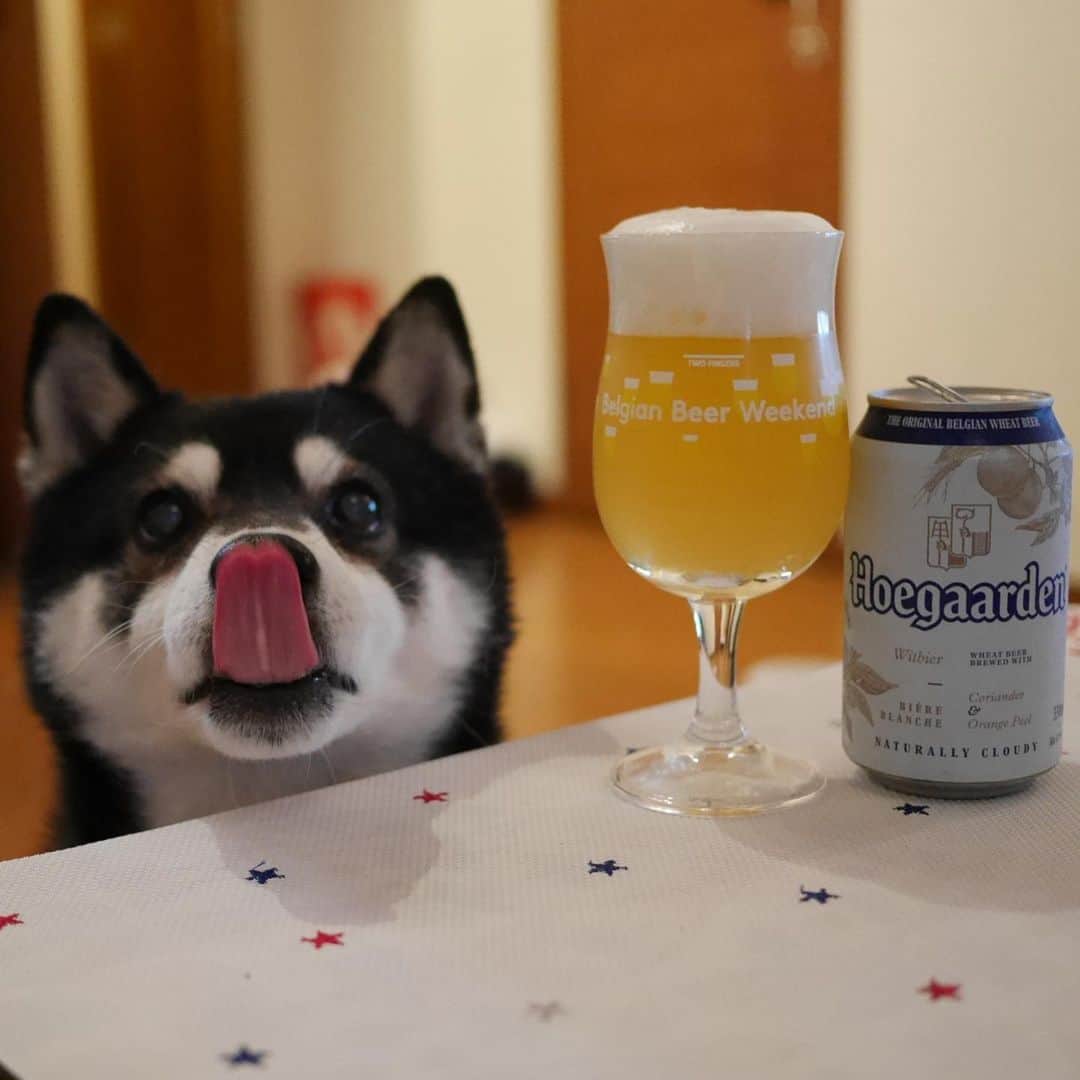 くろのインスタグラム