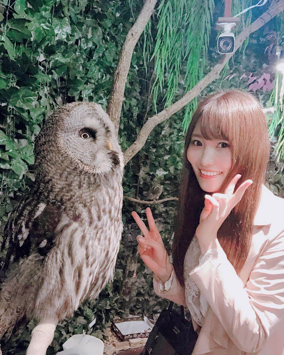 佐野友里子のインスタグラム：「フクロウカフェ🦉に行ってみたよ✨ 大っきいのから小さいのまでいろんな種類が居たしなんか未知の世界だった🦉✨笑 . #フクロウカフェ #フクロウ #原宿 #竹下通り」