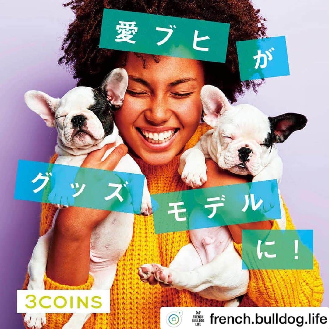 3COINSさんのインスタグラム写真 - (3COINSInstagram)「【FRENCH BULLDOG LIFE×3COINS】﻿ ﻿ フレンチブルドッグの基本情報・飼い方・病気・グッズ・住まいなど、あらゆる情報を発信している、日本最大級のフレブル情報メディア「French Bulldog Life」とのコラボ企画が決定！﻿ ﻿ 皆様のお宅のフレブルちゃんが3COINSの商品になっちゃうかも…！﻿ ﻿ 詳しくはFrench Bulldog Life、もしくは3COINSの公式サイトをご覧下さい！﻿ ﻿ 皆様のご参加、お待ちしております♪︎﻿ ﻿ ✎︎＿＿＿＿＿＿＿＿＿＿＿＿＿＿＿＿＿＿＿﻿ ﻿ 【愛ブヒが3COINSのグッズモデルに】全国190店舗で販売します！〜投稿キャンペーン〜﻿ ﻿ 日々の生活に欠かせないアイテムを300円で購入できちゃう3COINS（スリーコインズ）。﻿ ﻿ 今回は、夢のようなコラボ企画が実現！﻿ ﻿ 投稿キャンペーンで選ばれたフレブルたちをモデルにしたグッズが、全国の3COINSで販売されます！﻿ ﻿ 詳しくはFrench Bulldog Lifeをチェック！﻿ #プロフィールからサイトに飛べます﻿ → @french.bulldog.life﻿ ﻿ #3coinsのブヒモデルになりたい﻿ #フレブルライフ#フレンチブルドッグ#フレブル#フレンチブル#ブヒ#frenchbulldoglife#BUHI#frenchbulldog#frenchie#dog#FBL#멍스타그램#프렌치불독#SpoiledFrenchie#frenchiephotos#daily_frenchie#frenchies1#法斗#法鬥#法国斗牛犬」5月15日 19時13分 - 3coins_official