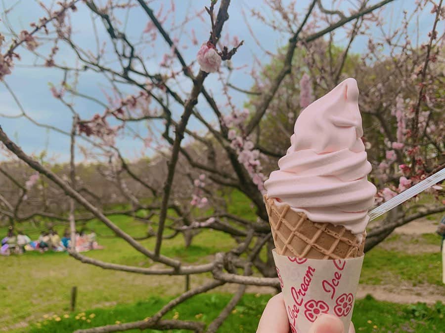 東李苑さんのインスタグラム写真 - (東李苑Instagram)「毎年この季節の楽しみである #平岡梅林公園 の #梅ソフト 🍦 桜も梅もほぼ散ってしまってたけど 美味しかったので満足☺︎♡」5月15日 19時40分 - az_rion