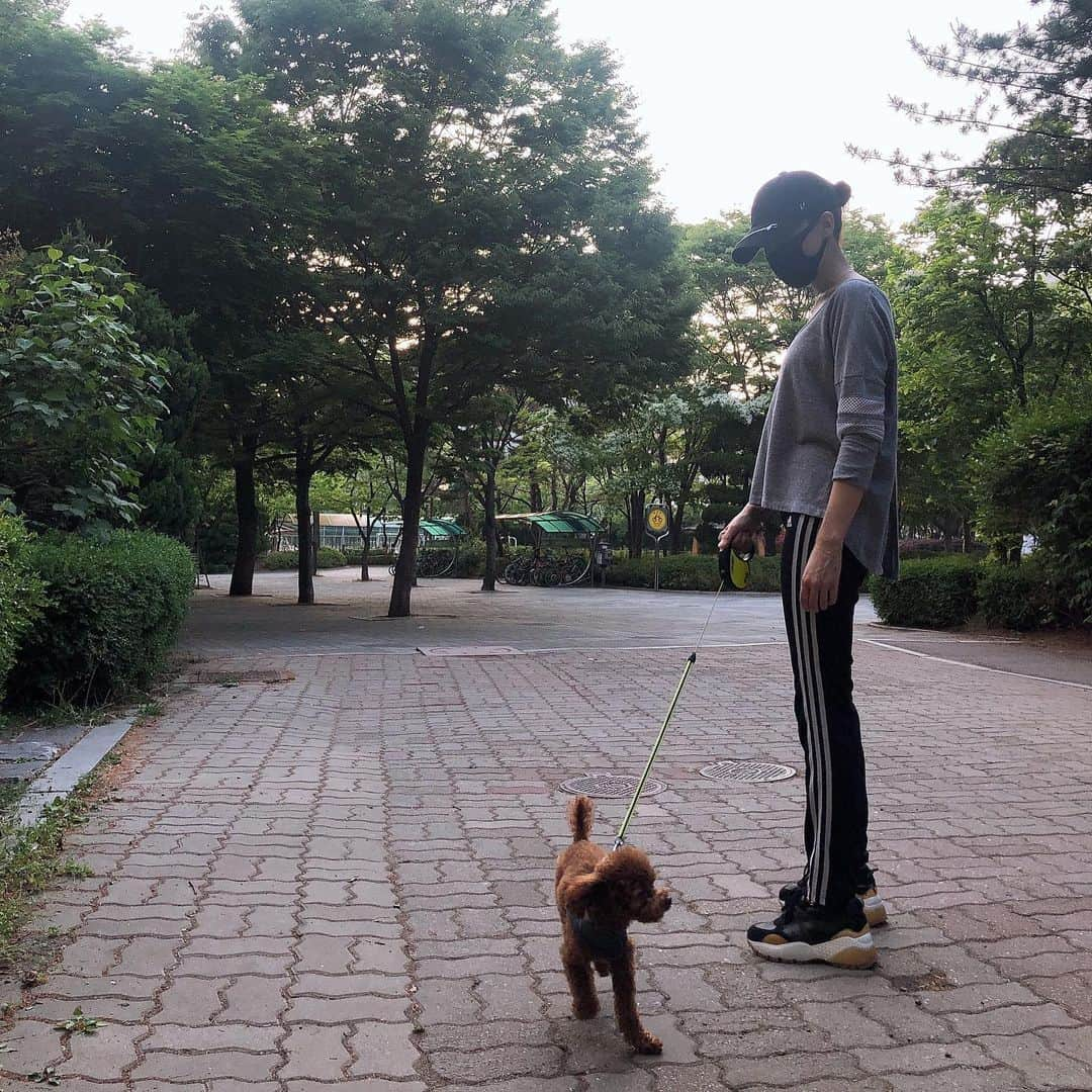 ユン・セアさんのインスタグラム写真 - (ユン・セアInstagram)「기억도 가물한 수년전 구입한 삼선쮸리닝 세벌. 아직도 매일 손이가고 입을때마다 설렌다. 헤지지마렴. 헤어지지말자. 내일은 뭘입나...가지런한 삼선쮸리닝!! #뽀그리야🐶🐾의하루」5月15日 19時58分 - loveyoonsea