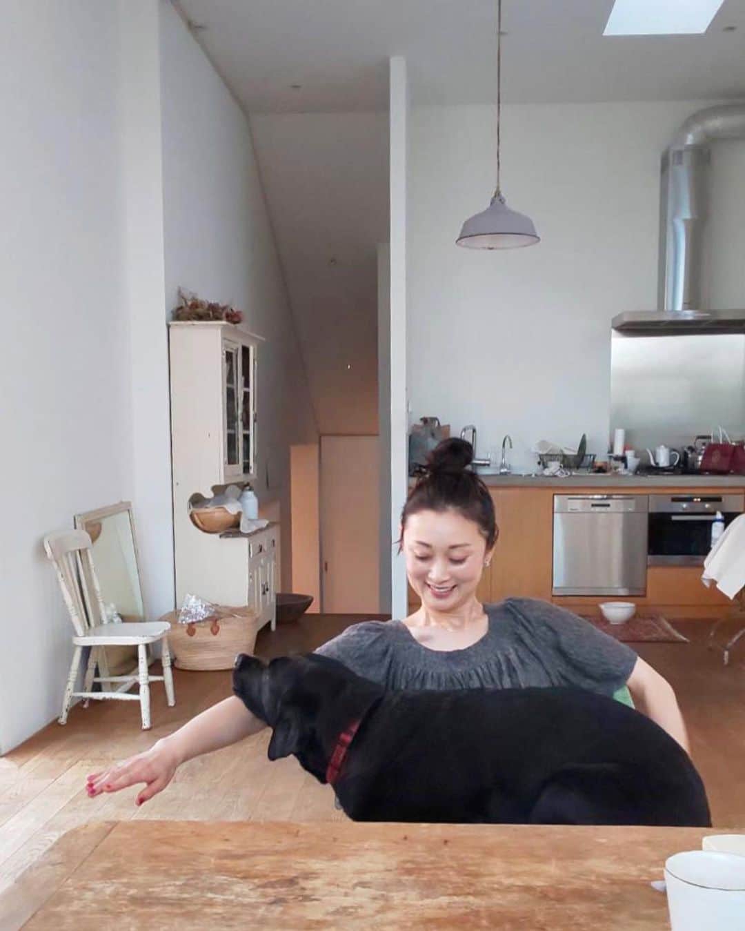 のインスタグラム：「ぼぼカノがやってきた どう考えても狭いっちゅうのに、お膝の上に乗っかってきて、アゴ置きはあたしの手。おもっ。 ここくるとテーブルの上がよく見えるそうです。 ぼぼカノは頭脳派、ぼぼはイノシシ突進派。 激しく異なるDNA差w」