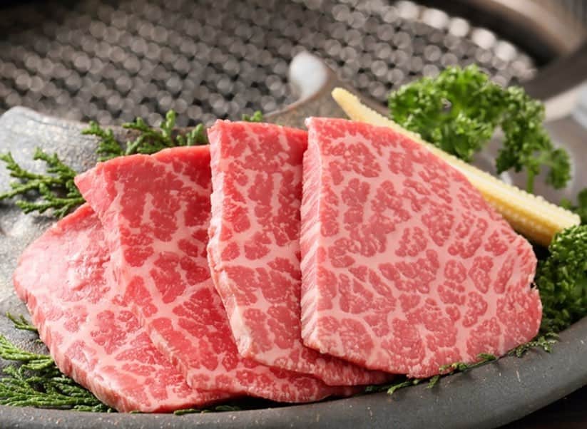 備長炭焼肉ほむら 刈谷本店さんのインスタグラム写真 - (備長炭焼肉ほむら 刈谷本店Instagram)「#焼肉と言えばほむら刈谷店 ﻿﻿﻿﻿﻿﻿﻿﻿﻿﻿﻿﻿﻿﻿﻿﻿﻿﻿﻿﻿﻿﻿﻿﻿﻿ ﻿﻿﻿﻿﻿﻿﻿﻿﻿﻿﻿ ﻿﻿ 人の幸福度が上がる瞬間の一つに、美味しいものを食べた時‼️﻿﻿ ﻿﻿ ﻿﻿ 美味しいお肉→ほむら刈谷店の目指すところは、まさしくその瞬間を提供するお店😄﻿﻿ ﻿﻿ ﻿﻿ 「美味しいッ」って、シンプルな言葉だからこそ、重みが違います🐤﻿﻿ ﻿﻿ ﻿﻿ まだ、試したことがない方は、是非、試してみて下さい🐒🎶﻿﻿ ﻿﻿ ﻿﻿ 皆さまのご来店お待ちしております😋﻿﻿ ﻿﻿ ﻿﻿ ほむら刈谷﻿﻿﻿﻿ 店長  加藤﻿﻿﻿﻿ ﻿﻿﻿〜.〜.〜.〜.〜.〜.〜.〜.〜.〜.〜﻿﻿﻿﻿﻿﻿﻿ ﻿﻿﻿﻿﻿□キャッシュバックキャンペーン□﻿﻿﻿ ﻿﻿﻿ 💰女性限定(男性同伴もOK)﻿﻿﻿ 💰期間限定﻿﻿﻿ 💰本日お支払い合計金額（税抜）の10％を、”次回”ご来店時にキャッシュバック﻿﻿﻿ 💰(月)〜(木)はオールタイム/（金）（土）（日）は20時30分以降でご利用可能﻿﻿﻿ 💰キャッシュバック有効期限は利用日から翌月の前日までとなります。﻿﻿﻿ ＊金額記載の証明書をお渡し致しますので次回お持ちください（紛失の場合は無効となります）﻿﻿ ﻿﻿〜.〜.〜.〜.〜.〜.〜.〜.〜.〜.〜﻿﻿﻿﻿﻿﻿ ﻿﻿﻿﻿﻿﻿ ﻿﻿ ﻿﻿ ﻿﻿﻿﻿﻿﻿﻿﻿﻿﻿﻿ ﻿﻿﻿﻿﻿﻿﻿﻿﻿﻿﻿﻿﻿﻿﻿ ﻿﻿＃刈谷市 #刈谷 #刈谷駅 #刈谷カフェ #いただきます ﻿﻿﻿﻿﻿ #安城市 #安城 #安城カフェ #安城カフェ ﻿﻿﻿﻿﻿ #夜ごはん ﻿﻿﻿ #ママ  #お誕生日会 #ランチ部 #豪華ディナー #豪華な個室 #焼肉コース #焼肉キング #もう一度食べたい﻿﻿﻿﻿﻿﻿﻿﻿﻿﻿﻿﻿﻿﻿﻿﻿﻿﻿﻿﻿﻿﻿﻿﻿﻿﻿﻿﻿﻿﻿ #めちゃうまかった﻿﻿﻿﻿﻿﻿﻿﻿﻿﻿﻿﻿﻿﻿﻿﻿﻿ #グルメ部#焼肉巡り #デート #焼肉デート ﻿﻿﻿﻿﻿﻿﻿﻿﻿﻿﻿﻿﻿﻿﻿﻿﻿﻿﻿﻿﻿﻿﻿﻿﻿﻿﻿﻿﻿﻿ #グルメ女子﻿﻿﻿﻿﻿﻿﻿﻿﻿﻿﻿﻿﻿﻿﻿﻿﻿﻿﻿﻿﻿﻿﻿﻿﻿﻿﻿﻿﻿﻿﻿ #おすすめのお店﻿﻿﻿﻿﻿﻿﻿﻿﻿﻿﻿﻿﻿﻿﻿﻿﻿ #うますぎる﻿﻿﻿﻿﻿﻿﻿﻿﻿﻿﻿﻿﻿﻿﻿﻿﻿﻿﻿﻿﻿﻿﻿﻿﻿﻿﻿﻿ #美味しすぎる﻿﻿﻿﻿﻿﻿﻿ #焼肉 ﻿﻿﻿﻿﻿」5月15日 20時13分 - homura_kariya