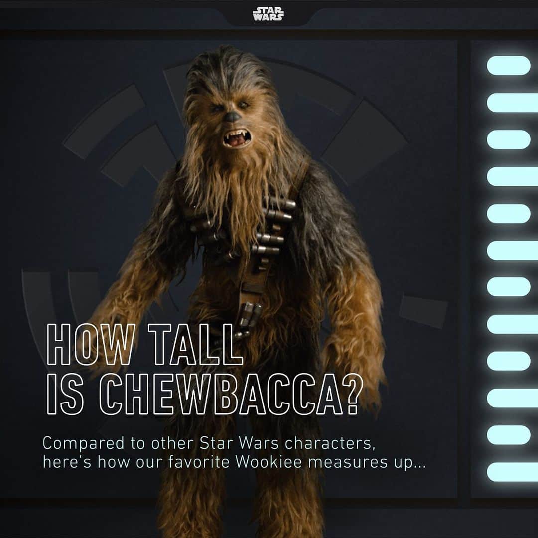 スター・ウォーズさんのインスタグラム写真 - (スター・ウォーズInstagram)「How tall is Chewbacca compared to other Star Wars characters? Swipe through for a look:」5月16日 6時26分 - starwars