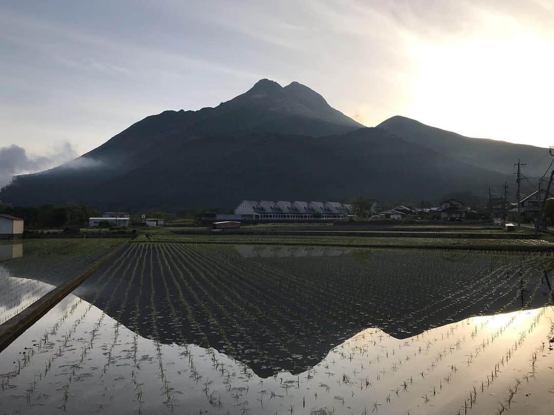ゆふいん温泉　日の春旅館のグルメインスタ